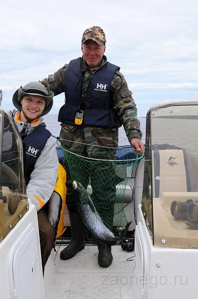 dsc_2482.jpg - ������ ������